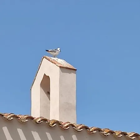 White Experience South Sardinia * Pula