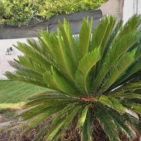 White Experience South Sardinia Apartment